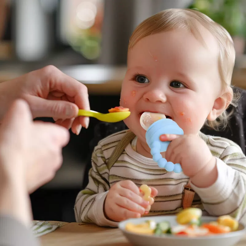 bx0055 fruit pacifier for baby