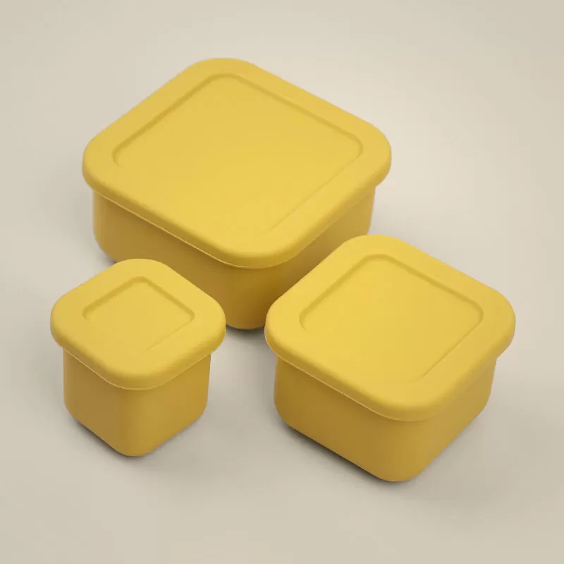 bx0057 silicone snack boxs