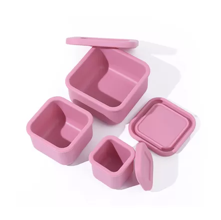 BX0057 Silicone Snack Box