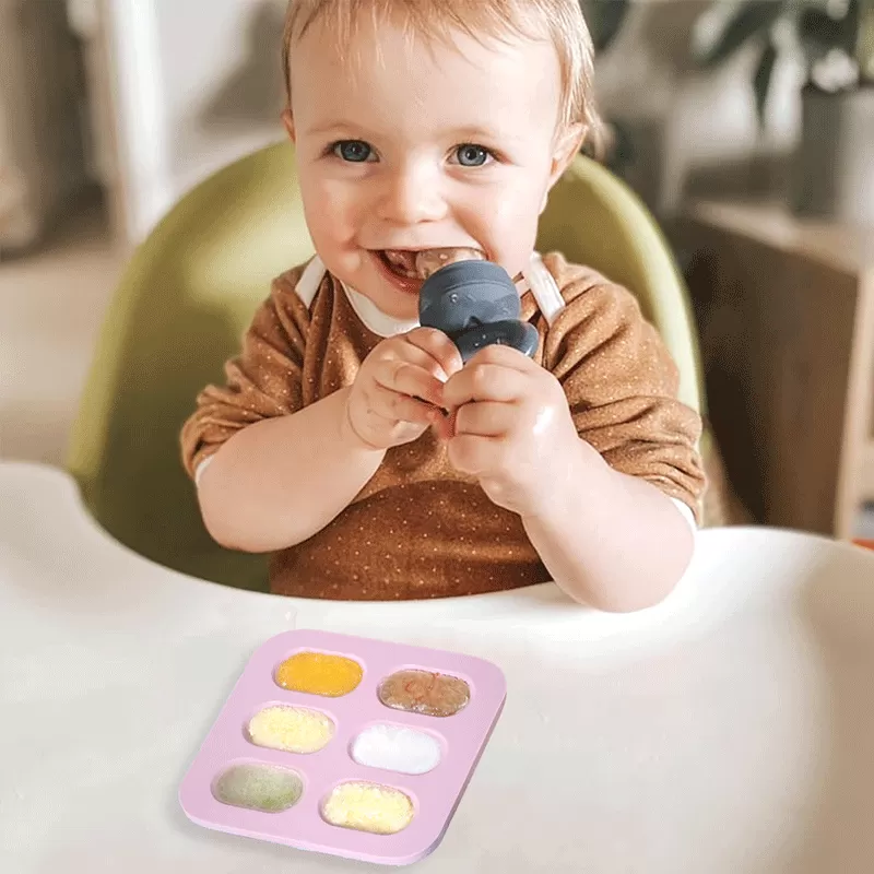 bx0077 ice tray cubes and baby fruit pacifier