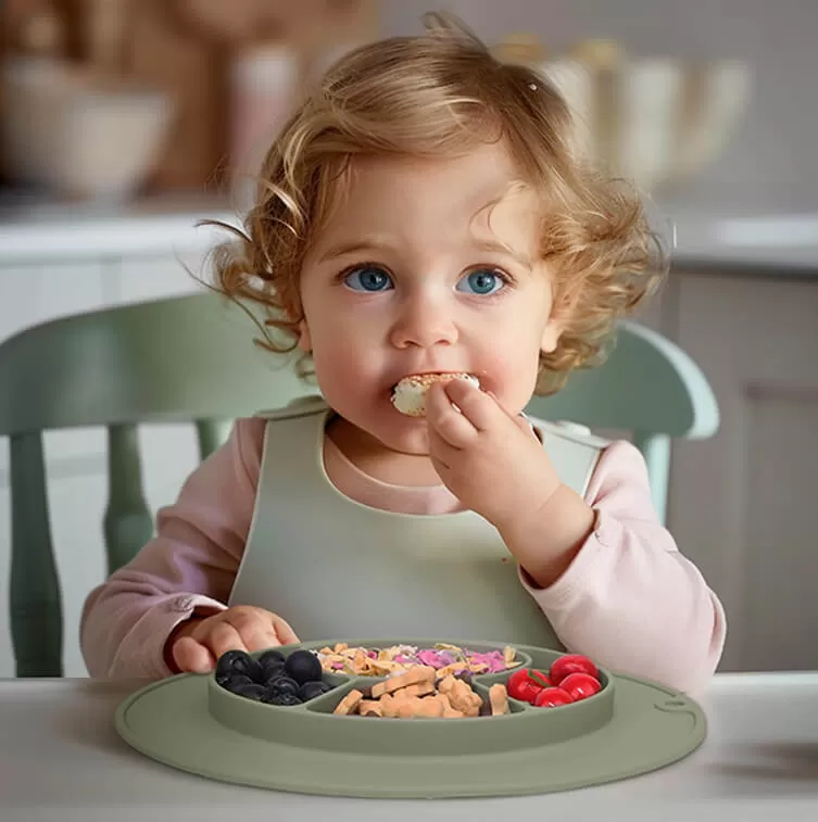 Detail Information of ﻿BX0104 Silicone Suction Plate with Built-in Placemat