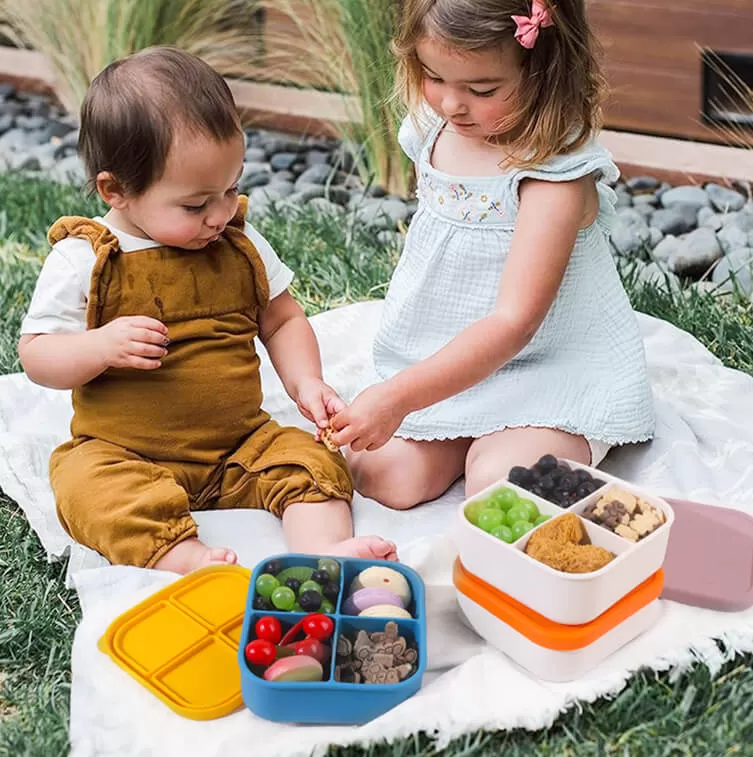 Detail Information of ﻿BX0135 800ml Silicone Square Bento Box with 4 Compartments