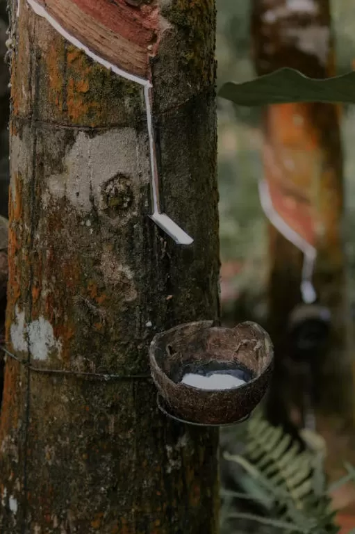 food-grade-silicone-vs-tpe-vs-natural-rubber-which-one-retailers-should-prefer-in-2026-for-baby-products 03.jpg