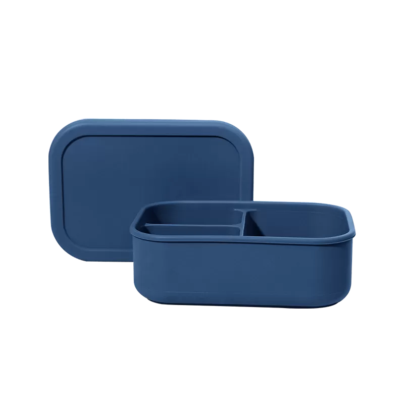 BX0053 800ml Silicone Bento Box