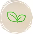 Safe & Non-Toxic
