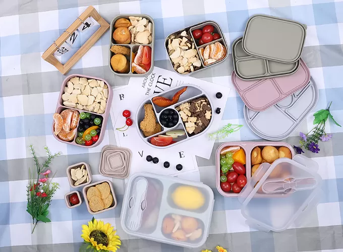 ERGONOMIC Bento Lunch Box – Approved by Pediatric Dentists