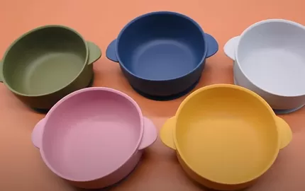 BX0007 Silicone Bowl With Lid