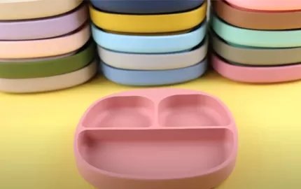 BX0023 Silicone Plate