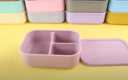 BX0053 800ml Silicone Bento Box