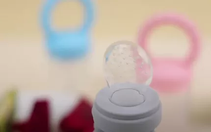 BX0055 Silicone Fruit Feeder