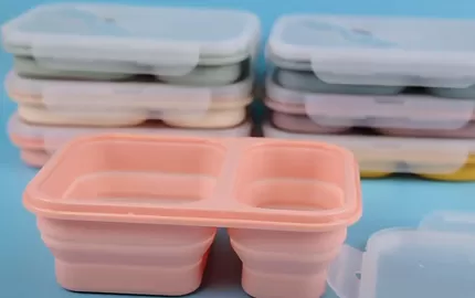 BX0068 2 Compartment Silicone Collapsible Bento Lunch Box With Spoon Lid