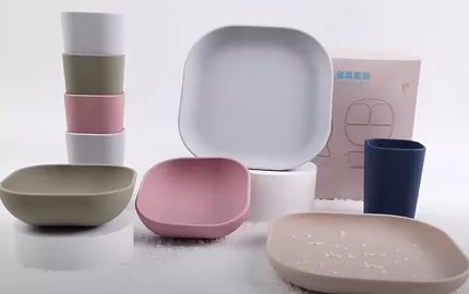 BX0072 Silicone Square Dish