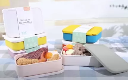 BX0134 800ml Silicone Bento Box without Compartment