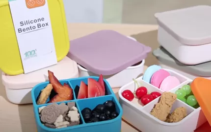 BX0135 800ml Silicone Square Bento Box with 4 Compartments